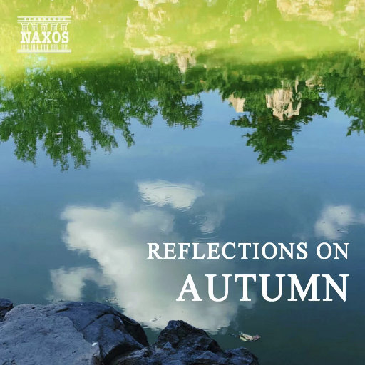 四个小萝莉被爆菊楠楠
